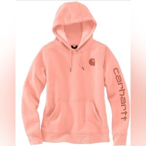 Carhartt Clarksburg Graphic Sleeve Logo Hoodie Size M NWOT MSRP $59.99